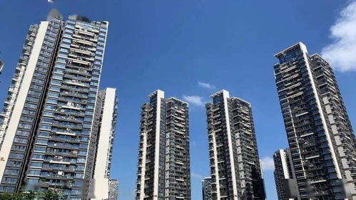 優(yōu)化租房積分入學(xué)政策 深圳住建局發(fā)布最新措施并公開(kāi)征求意見(jiàn)