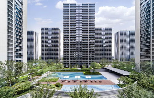 大家房產 穩健發展穿越行業波動，產品向新助力韌性前行